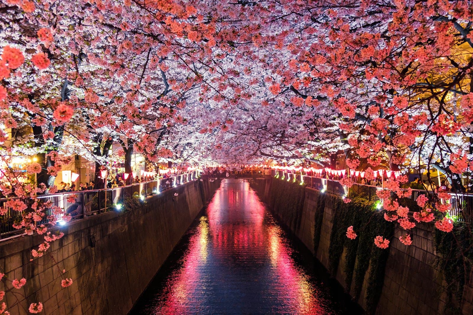 Japan in January 2027: New Year, Hatsu Basho, and the Cheapest Weeks