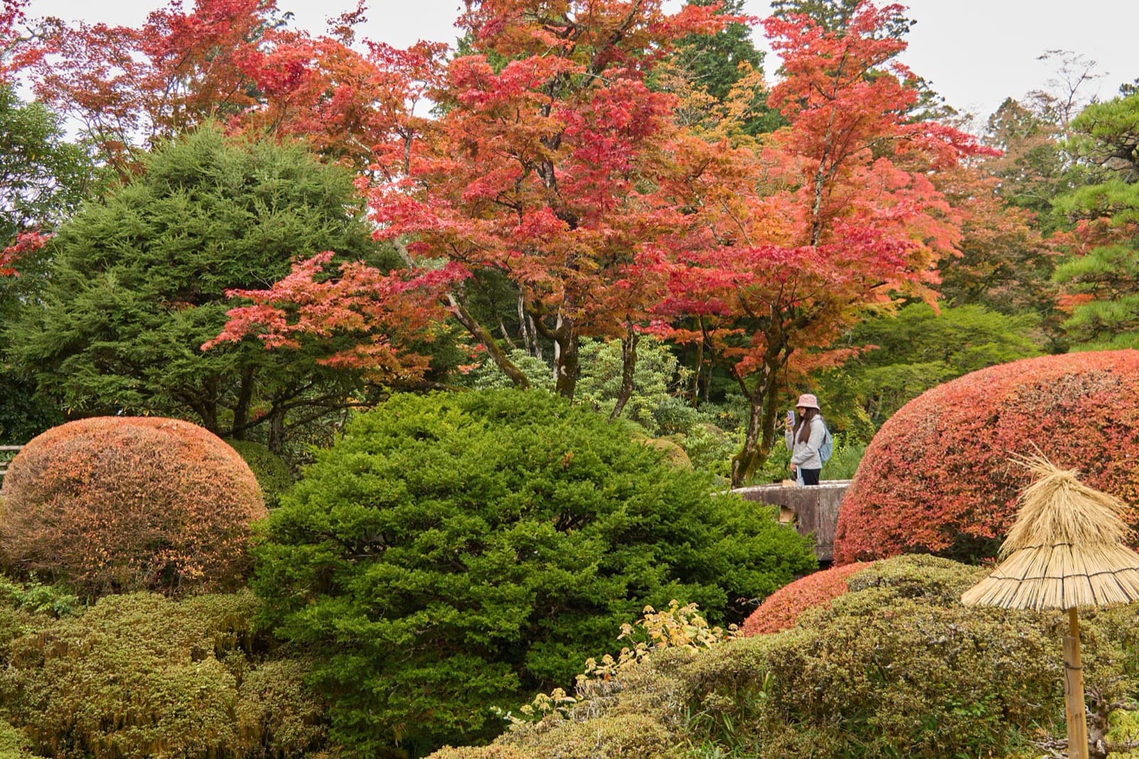 Japan in October 2026: Weather, Foliage Start, Typhoons, and What to Do