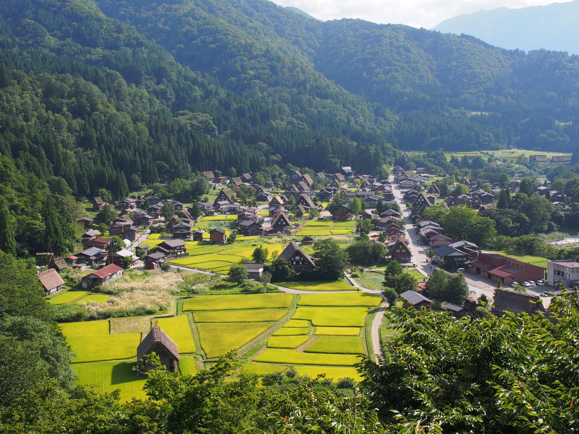 Takayama and Shirakawa-go Guide: Old Town, Hida Beef, Gassho Houses