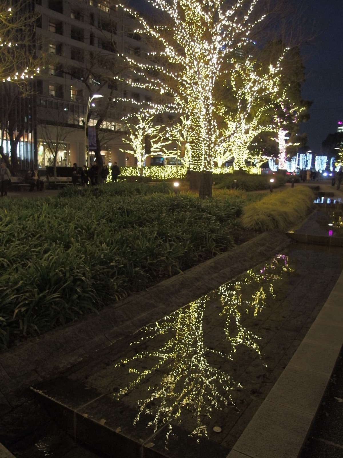 Tokyo Christmas Illuminations 2026: Midtown, Marunouchi, Roppongi (Maps and Official Dates)