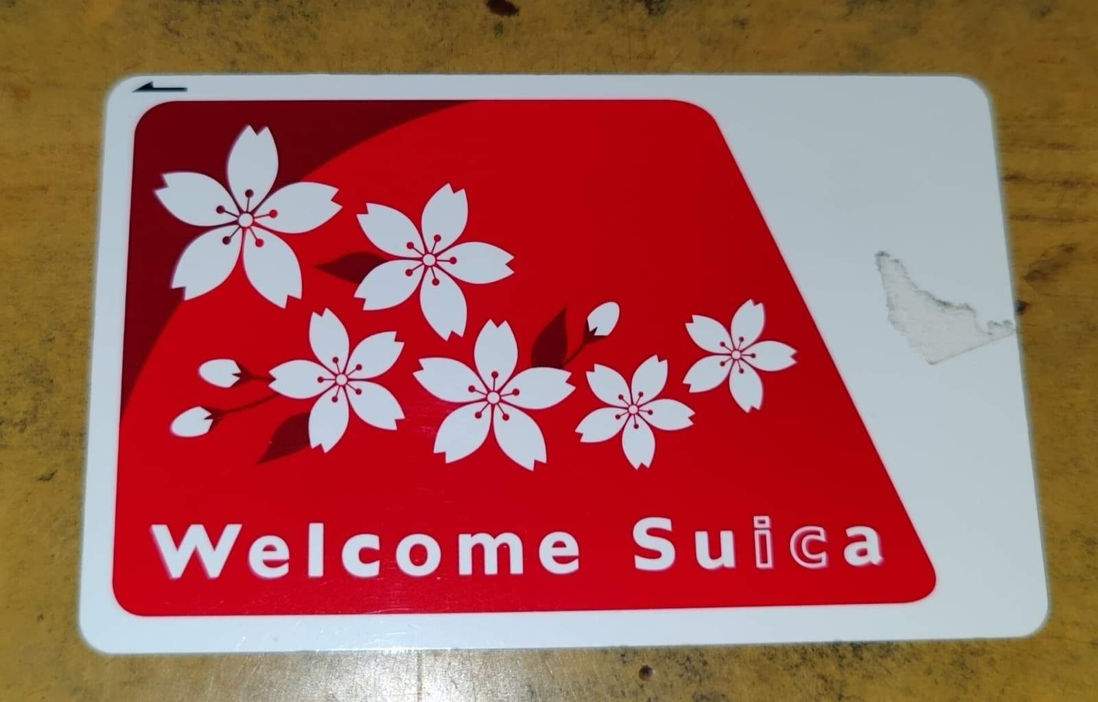 SuicaとPasmoの違い|どっちを選ぶ?買い方・使い方(2026)